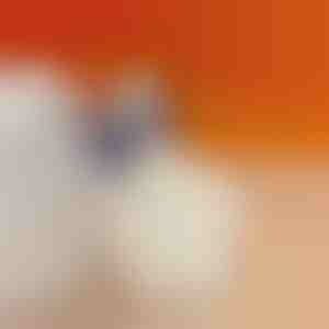 Kulno pagalvėlė, mažinanti kulno skausmą | STEPHEEL